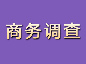 盂县商务调查